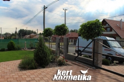 1 év múlva az előkert Ecseren (54)